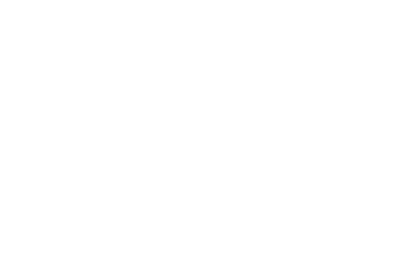 Le Mount Stephen Logo